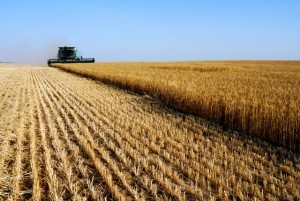 Combine Harvester 640px